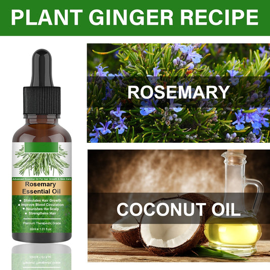 EELHOE GrowThrive™ Rosemary Hair Oil